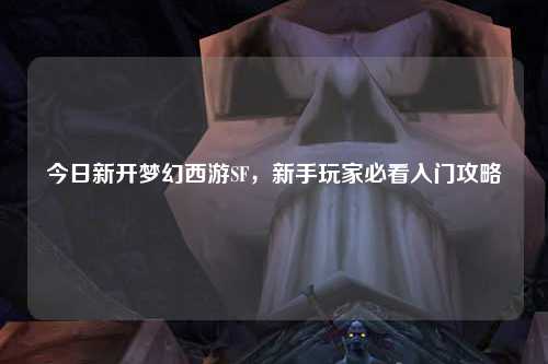 今日新开梦幻西游SF，新手玩家必看入门攻略