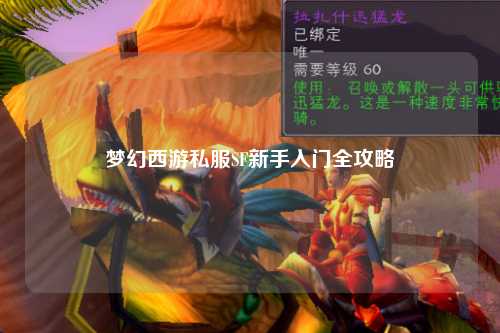 梦幻西游私服SF新手入门全攻略