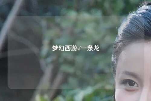 梦幻西游sf一条龙