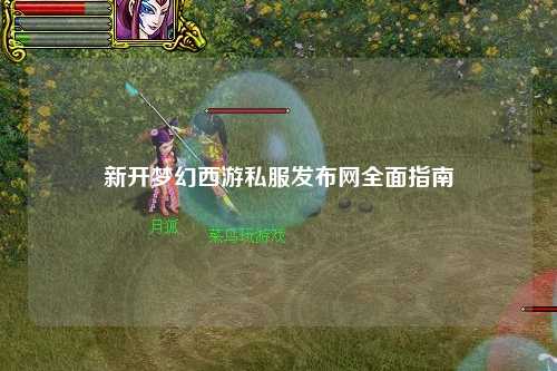 新开梦幻西游私服发布网全面指南