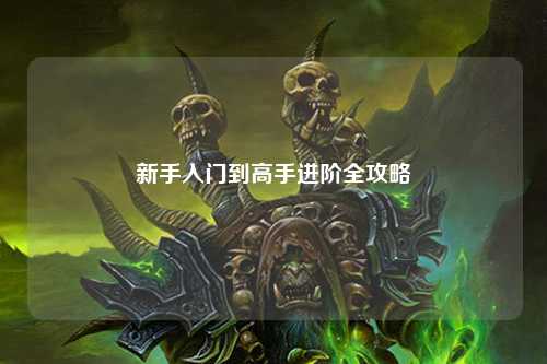 新手入门到高手进阶全攻略