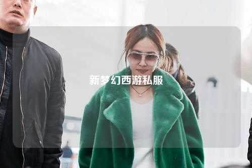 新梦幻西游私服