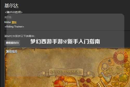 梦幻西游手游SF新手入门指南